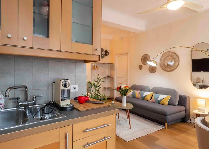 Charming Flat, Fully Equipped, Air Conditioning, Only 300m - La Loge Nice